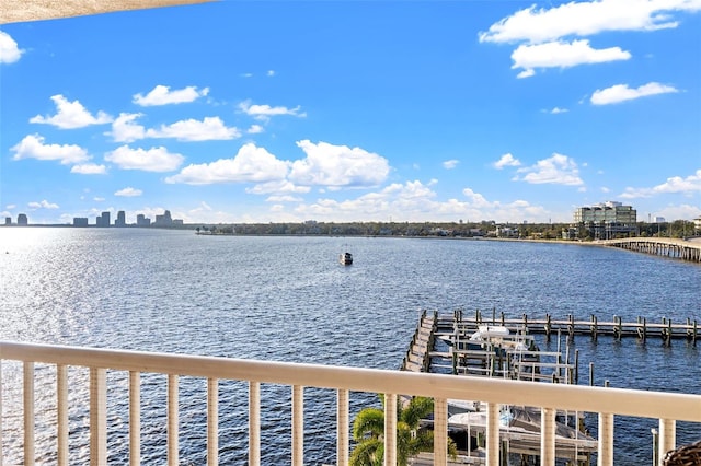 water view featuring a boat dock