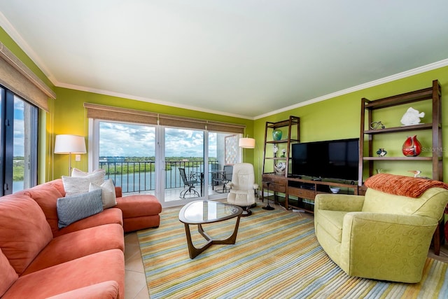 living room featuring ornamental molding