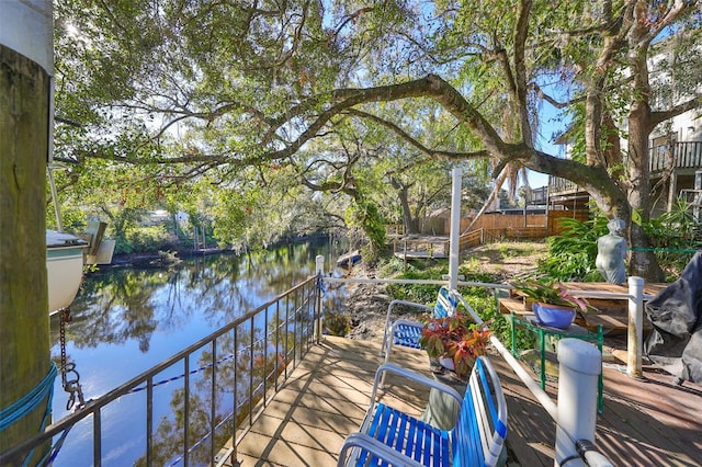 dock area with a water view