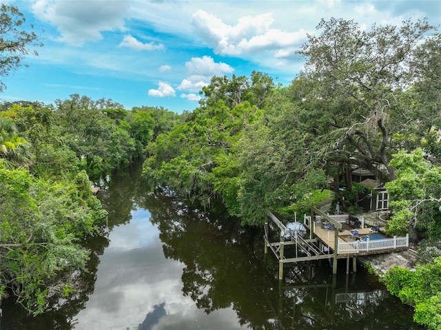 1745 E Mulberry Dr, Tampa, FL 33604 - photo 50