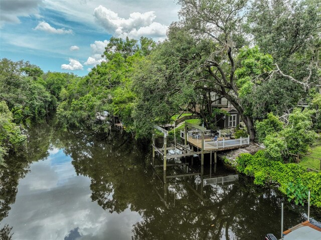 1745 E Mulberry Dr, Tampa, FL 33604 - photo 51