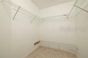 spacious closet featuring carpet flooring