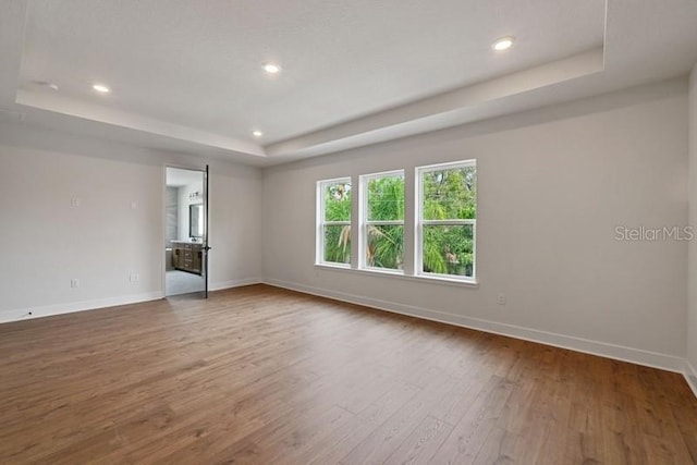 spare room featuring wood-type flooring and a raised ceiling