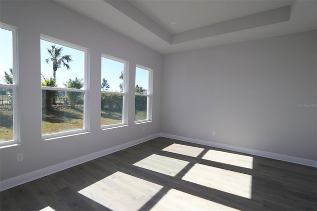 spare room featuring a tray ceiling and dark hardwood / wood-style floors