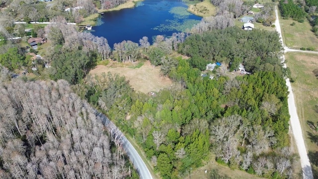 4539 Cobb Rd, Land O Lakes FL, 34638 land for sale