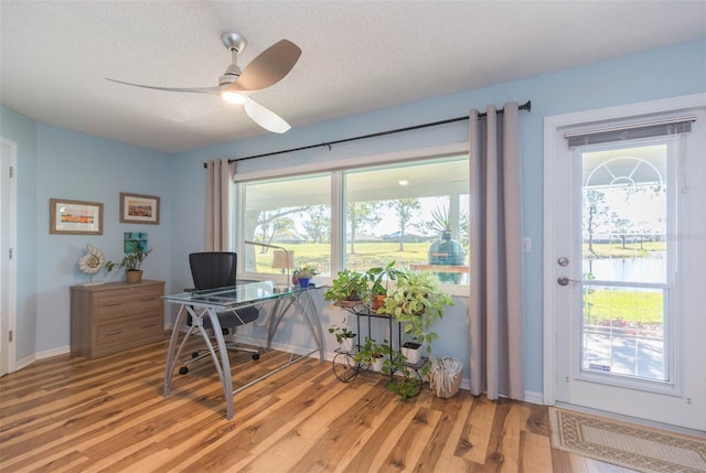 office space with ceiling fan, light hardwood / wood-style flooring, and a textured ceiling