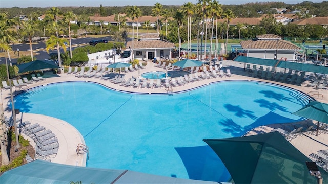 view of pool with a patio area