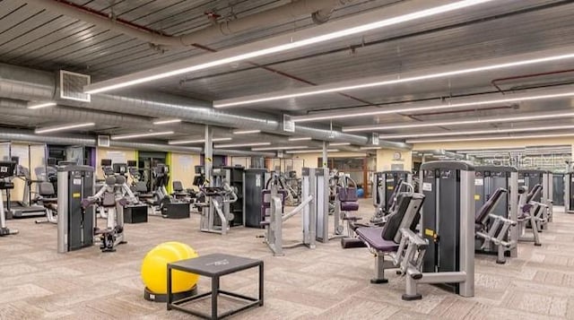 exercise room featuring light colored carpet