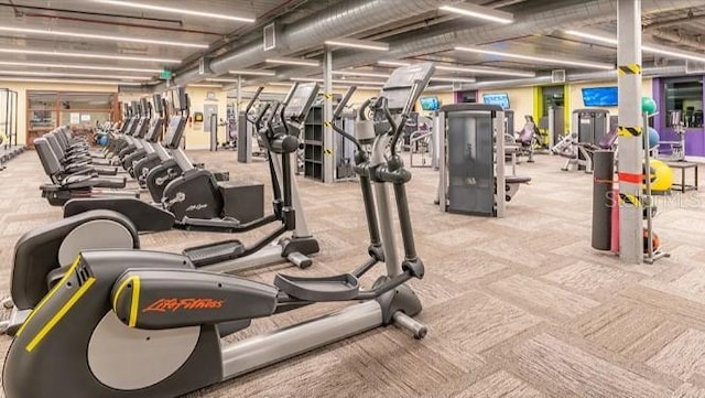 gym featuring light carpet