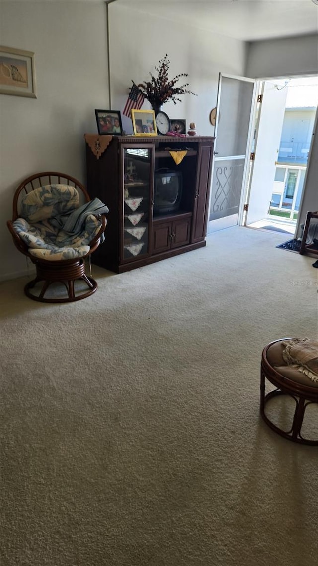 sitting room with carpet floors