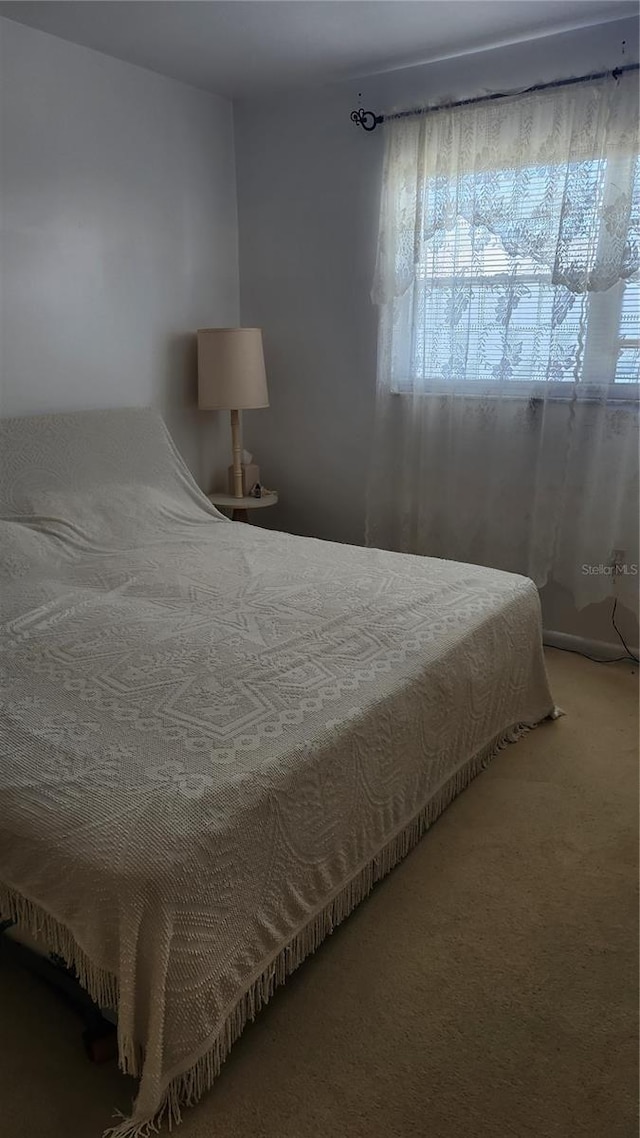 5915 18th St N Unit 12, Saint Petersburg, FL 33714 - photo 10