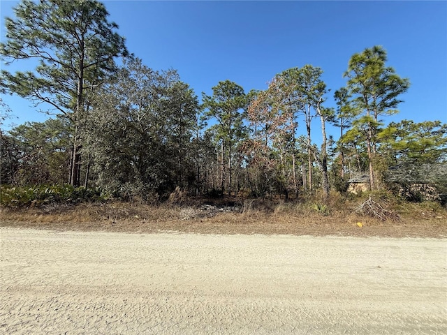 00 Macassar Rd, Weeki Wachee FL, 34614 land for sale