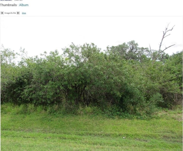 11208 US-41 N, Palmetto FL, 34221 land for sale