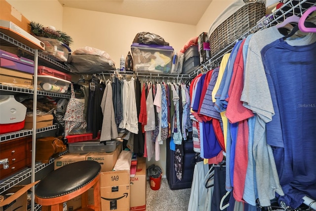 spacious closet with carpet floors