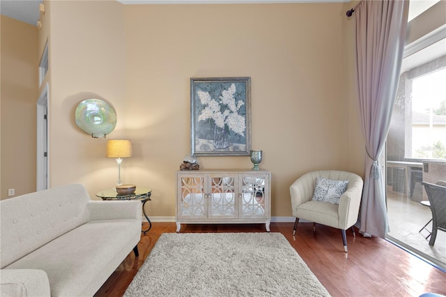 sitting room featuring hardwood / wood-style floors