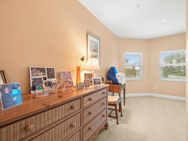 office featuring light colored carpet