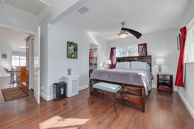 bedroom featuring ceiling fan, dark hardwood / wood-style floors, a spacious closet, and multiple windows