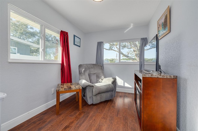 sitting room featuring dark hardwood / wood-style floors