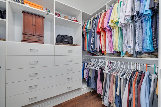 spacious closet with dark hardwood / wood-style flooring