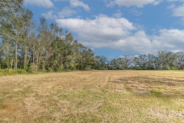 4306 Turkey Creek Rd, Plant City FL, 33567 land for sale