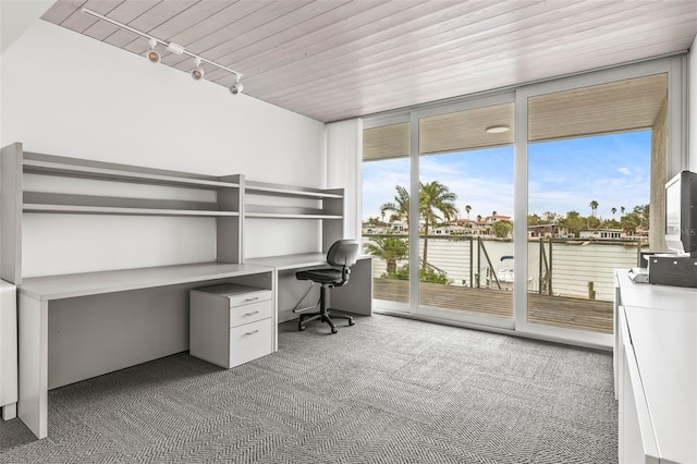 unfurnished office with a wealth of natural light, rail lighting, a wall of windows, and wooden ceiling