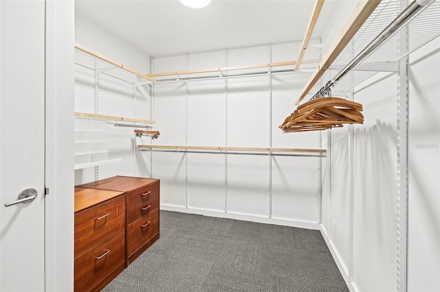 spacious closet featuring dark colored carpet