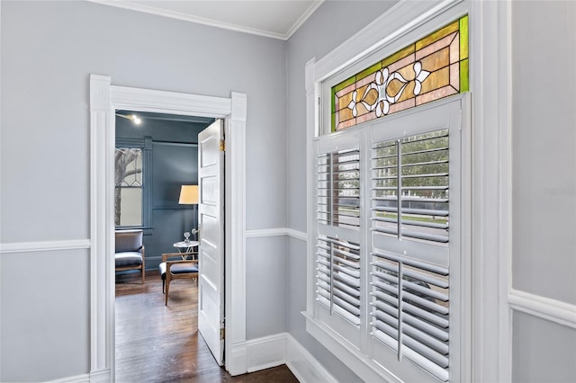 hallway featuring ornamental molding and dark hardwood / wood-style floors