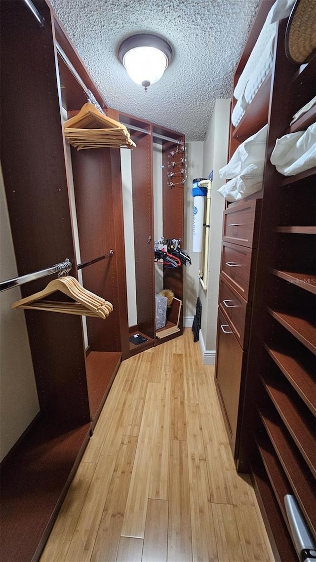 walk in closet featuring light hardwood / wood-style floors