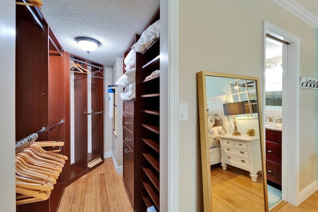 18325 Gulf Blvd Unit 407, Redington Shores, FL 33708 - walk in closet featuring light wood-style flooring