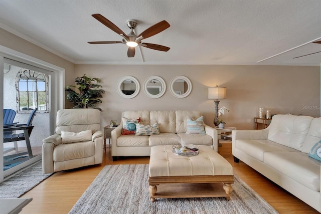 18325 Gulf Blvd Unit 407, Redington Shores, FL 33708 - living area with a ceiling fan, light wood finished floors, crown molding, and a textured ceiling