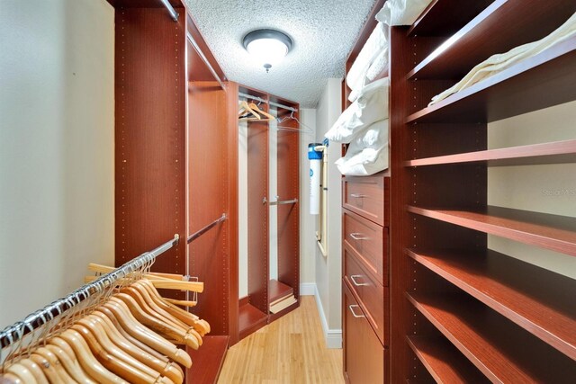 18325 Gulf Blvd Unit 407, Redington Shores, FL 33708 - spacious closet with light wood finished floors