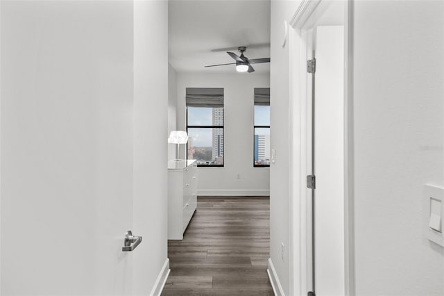 hallway featuring dark wood-type flooring