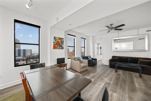 dining space featuring ceiling fan, wood-type flooring, and a wealth of natural light