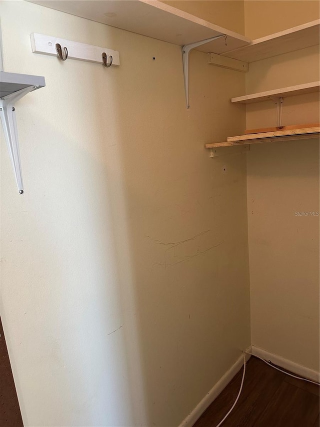 spacious closet with dark wood-style floors