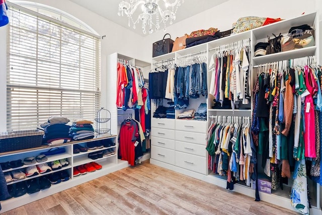 walk in closet featuring hardwood / wood-style flooring and a notable chandelier