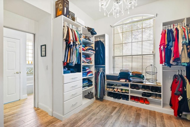 spacious closet with hardwood / wood-style floors and a chandelier