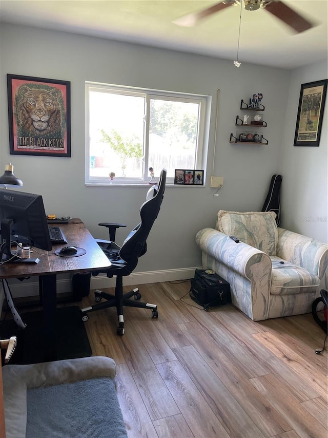 office with ceiling fan and light wood-type flooring