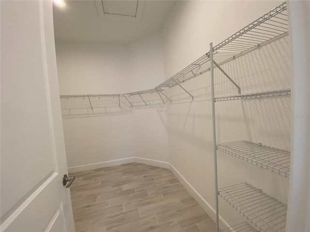 spacious closet featuring hardwood / wood-style floors