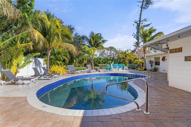 view of swimming pool with a patio area