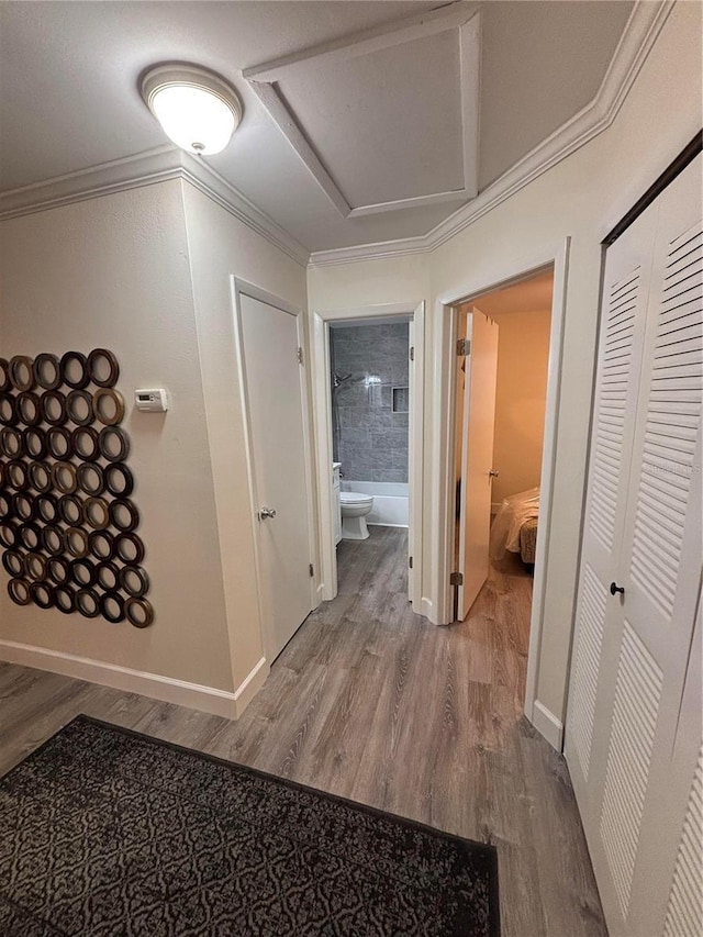 hall featuring ornamental molding and hardwood / wood-style flooring