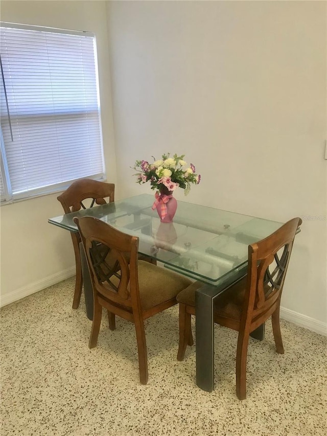 dining area featuring plenty of natural light