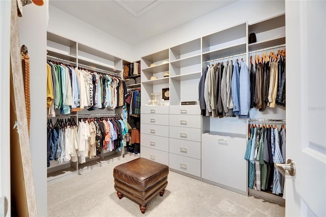 walk in closet featuring carpet flooring