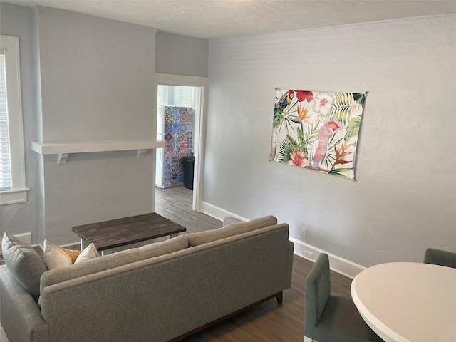 living room with a textured ceiling and hardwood / wood-style flooring