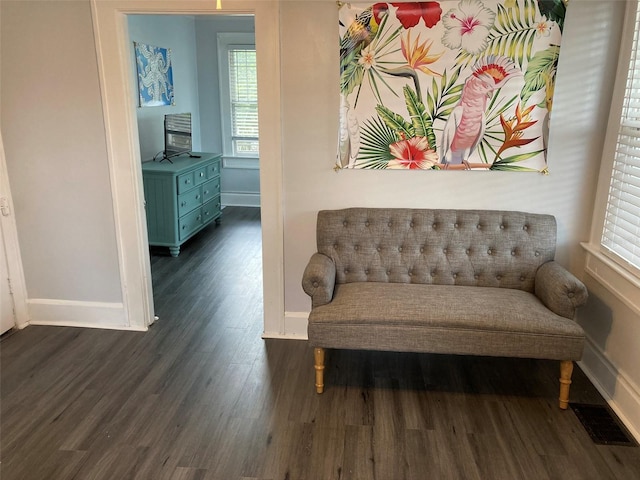 living area featuring dark wood-type flooring