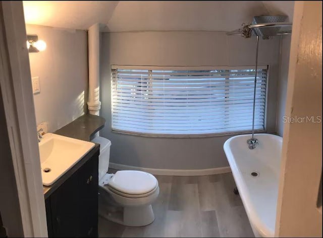 bathroom with a bathing tub, vanity, toilet, and hardwood / wood-style floors