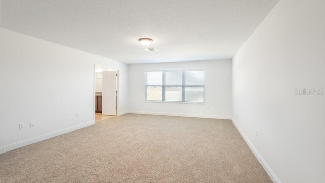 spare room featuring light colored carpet and a textured ceiling