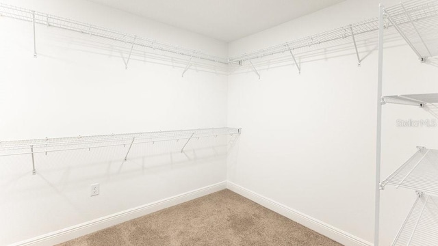 spacious closet with carpet