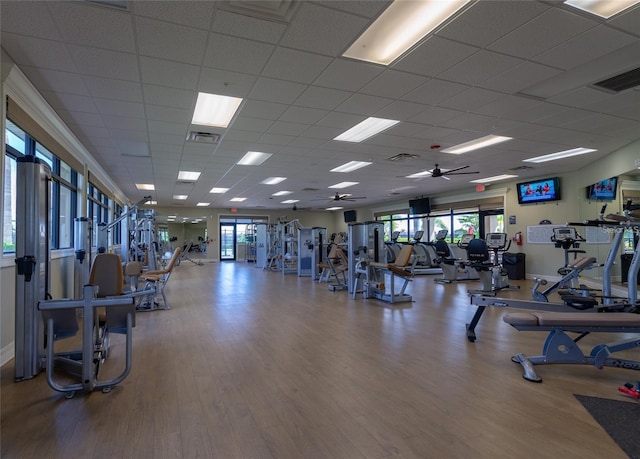 gym with wood-type flooring, a drop ceiling, and ceiling fan