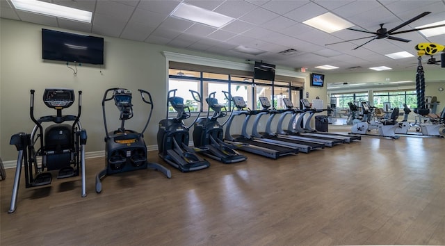 exercise room with a drop ceiling, ceiling fan, and wood-type flooring