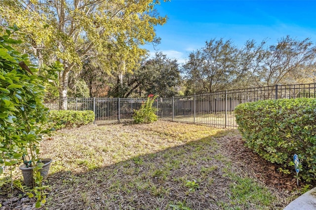 14545 Mirabelle Vista Cir, Tampa, FL 33626 - photo 36